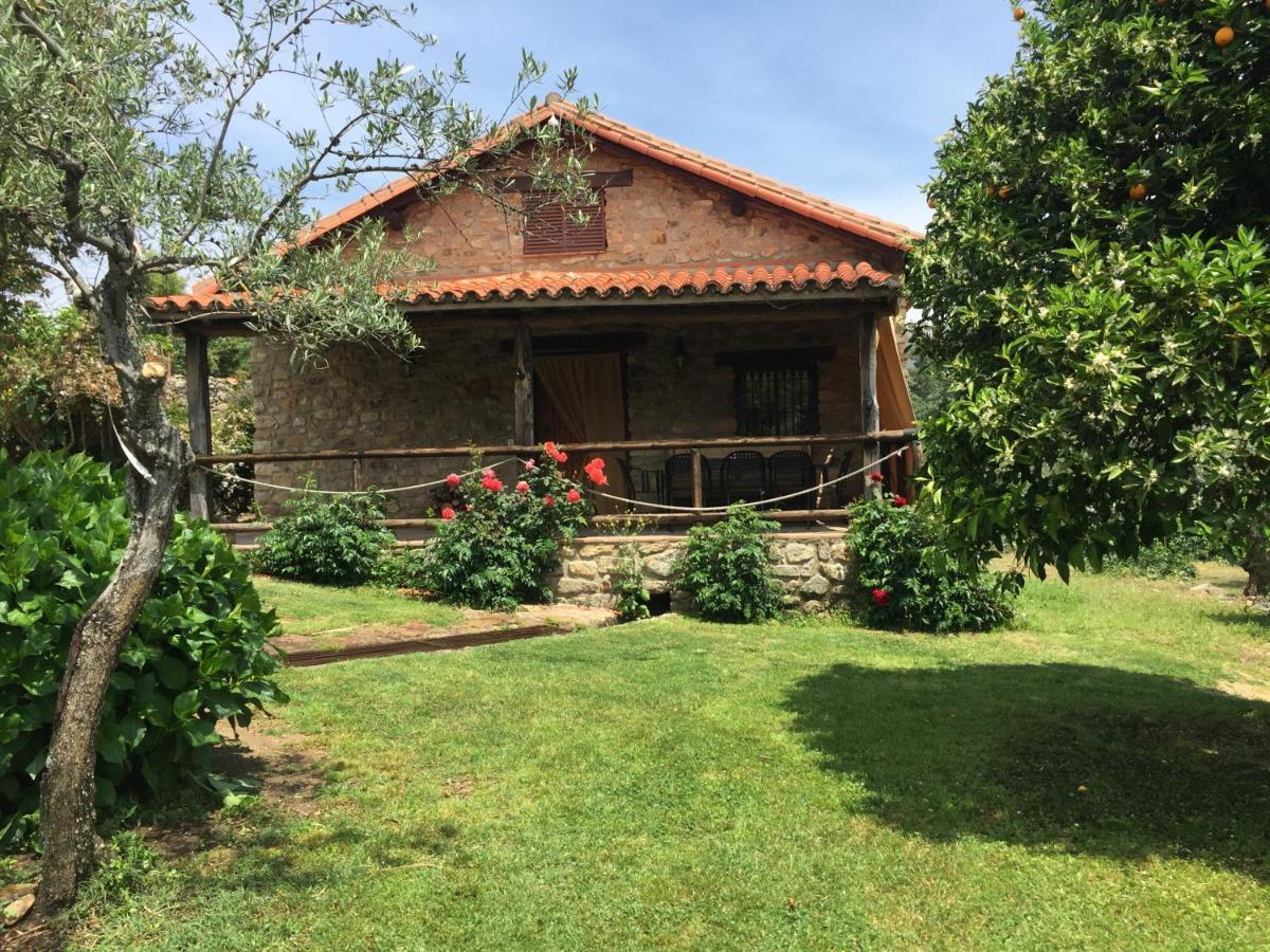 Casa Rural El Pilar Acebo Exterior photo